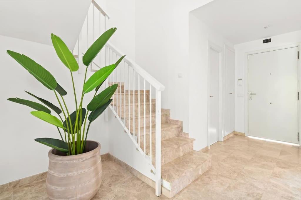 Apartment Fantastic 3 Bedroom Townhouse Naranjos Rdr424